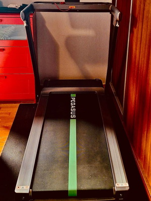 Διάδρομος γυμναστικής Pegasus Runflex 3.0 HP σαν καινούργιο