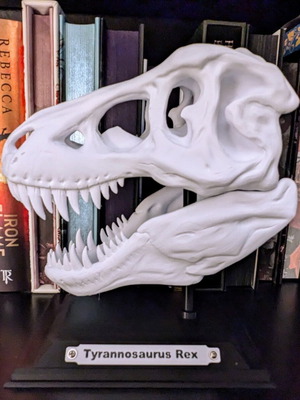 Tyrannosaurus Rex skull with base new
