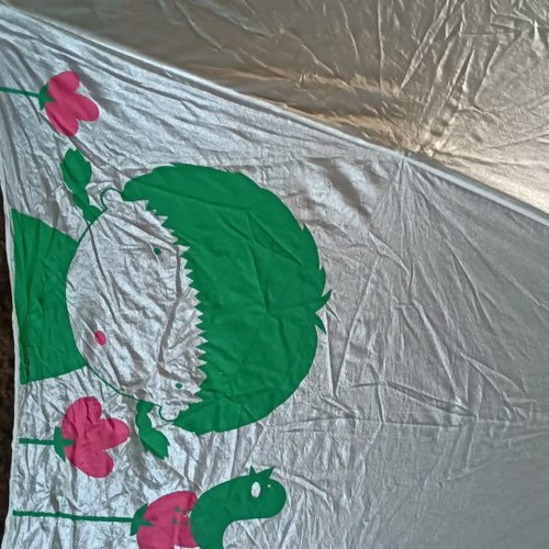 Umbrella in hard case, new