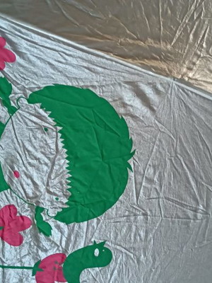 Umbrella in hard case, new