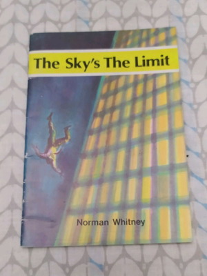 The Sky's The Limit novel book in English in good condition