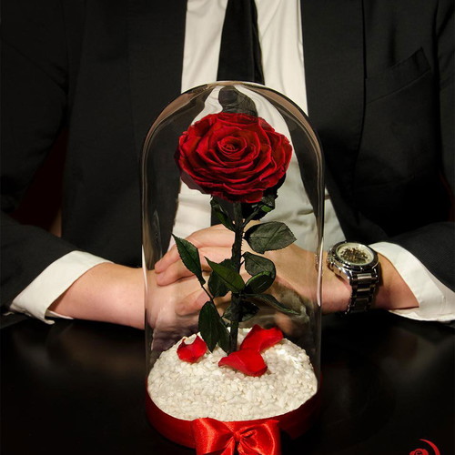 Red Eternal Rose in Large Glass Dome made to order