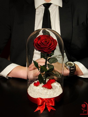 Red Eternal Rose in Large Glass Dome made to order