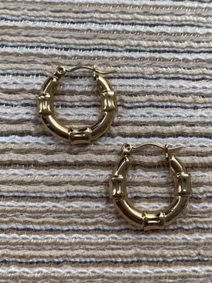 Stainless steel earrings new