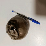 Clay container new