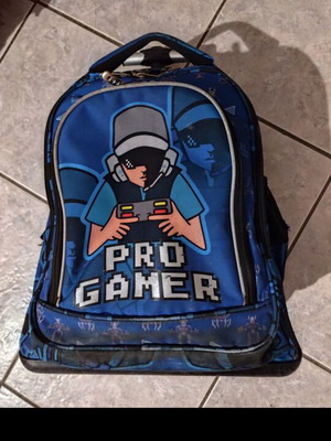 Polo wheeled bag used, needs washing