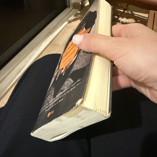 The Phoenix by Christos Chomenidis used Greek book