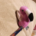 Toy bracelet used