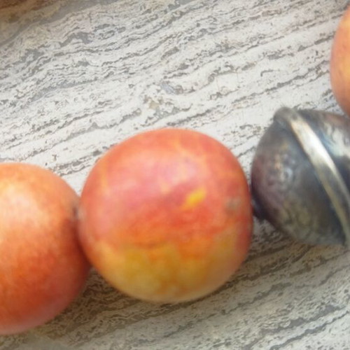 Silver Komboloi with 23 authentic apple coral beads, like new
