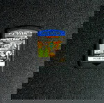 Minecraft Sony Ps Vita употребяван