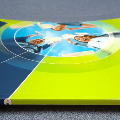 Optimise B1+ Companion new English language book