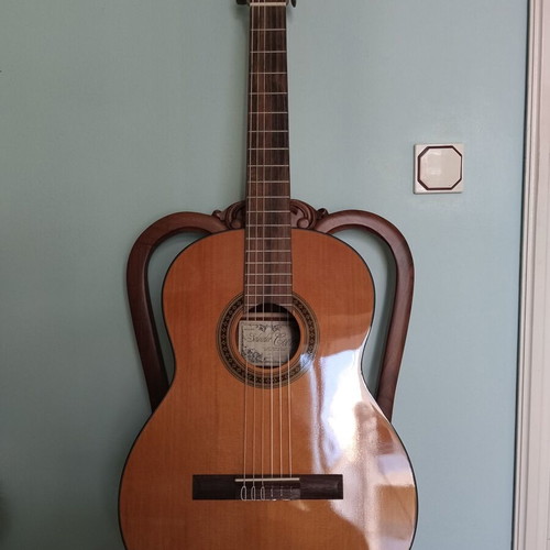 Trichordo Bouzouki, classical guitar, Boss DR 880 drum machine, Hohner instrument stand, tuner, metronome