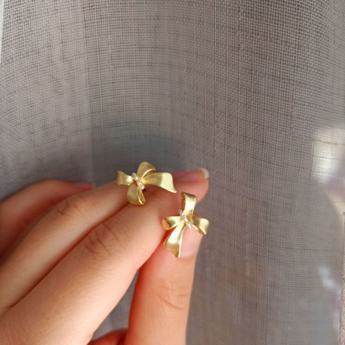 Steel earrings new, gold color, matte finish