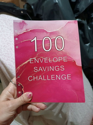 Envelope savings challenge calendar sheets like new with 100 envelopes