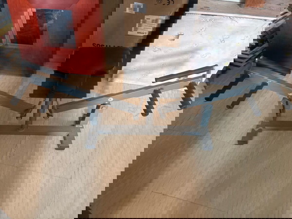 Όργανο γυμναστικής
