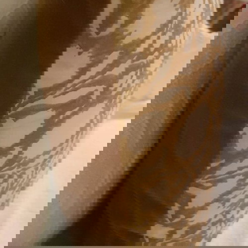 Μεγάλο διακοσμητικό μαξιλάρι καινούργιο βελούδινο λάδομουσταρδι 60x58 Coin Casa