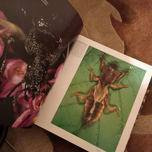 Atheatos Kosmos photo album book like new
