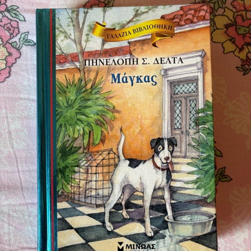 Book «Μάγκας» like new