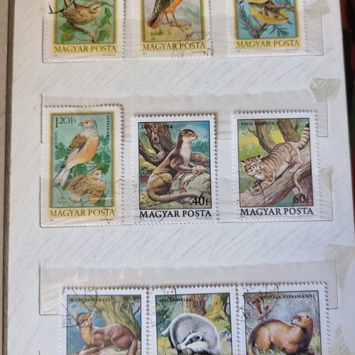 Stamp collection mint condition, 9 albums, 3,000+ worldwide stamps