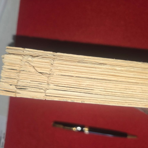 Egyptian Diary 1902 used, many pages