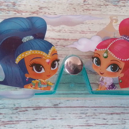 Children's glasses case Shina and Shine 2018 Viacom used