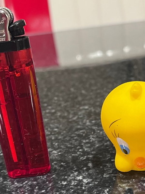 Tweety Bird bubble face used without damages