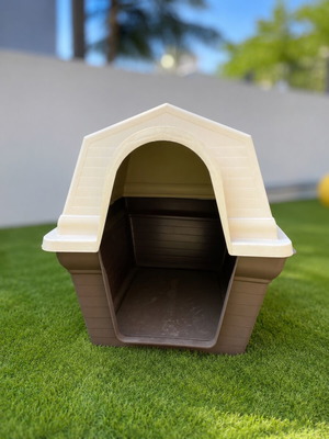 Dog house for medium and large dogs