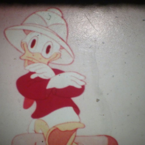 Donald Duck in the High Andes Super 8mm film used, silent, 200ft