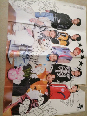 Skz 5 stars album poster used with tear