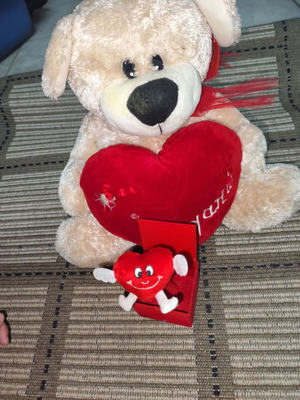 Sagapo Bear like new with surprise box