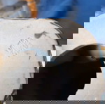  Μπιμπελο διακοσμητικά πορσελανη