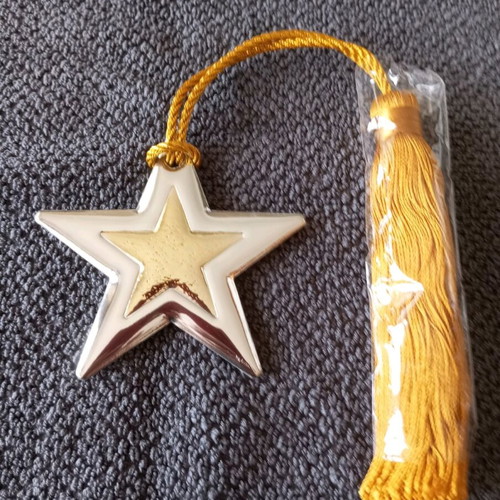 Star charm silver with gold new