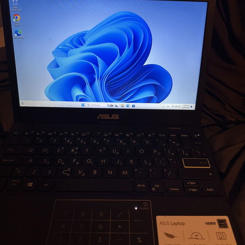 ASUS VivoBook E210MA laptop 11.6” 4GB RAM Windows 11