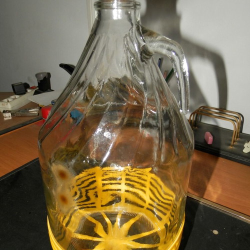 Glass damigiana 5 Lt with base like new