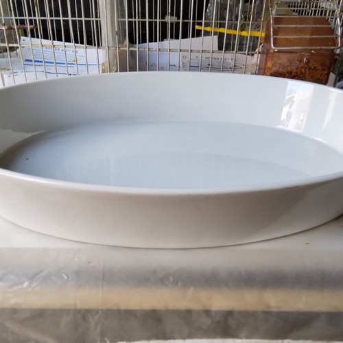Vintage Ionias deep white platter, large