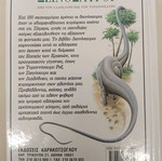 Dinosaurs Complete Guide used