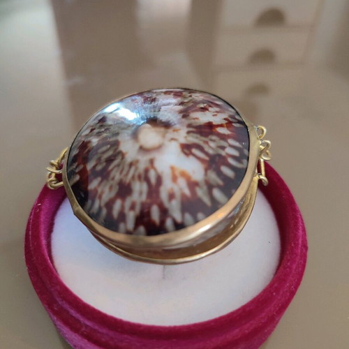 Silver ring with shells