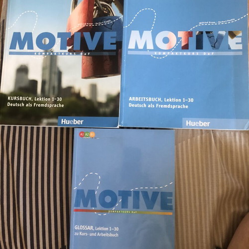 Motive A1 A2 B1 German language books new