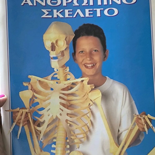 Build Your Own Human Skeleton new, Paper Craft Series