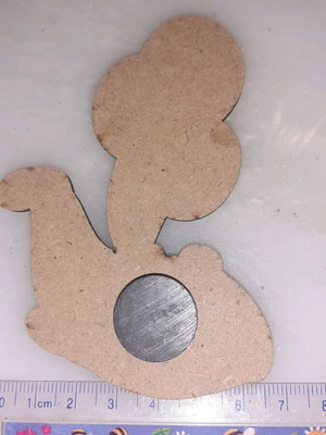 Whale magnet used