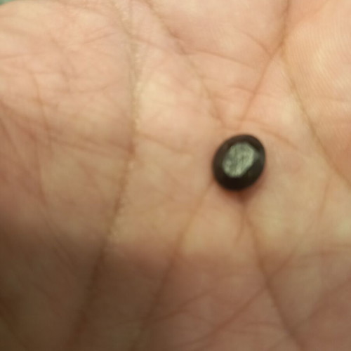 Oval Green Tourmaline Mineral 2.19 ct unhealed