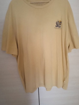 Funky Buddha men's T-shirt, mustard, 3XL