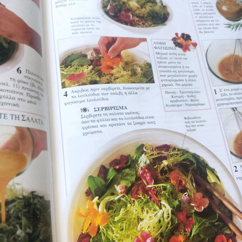 Salads volume from Cooking with pictures new
