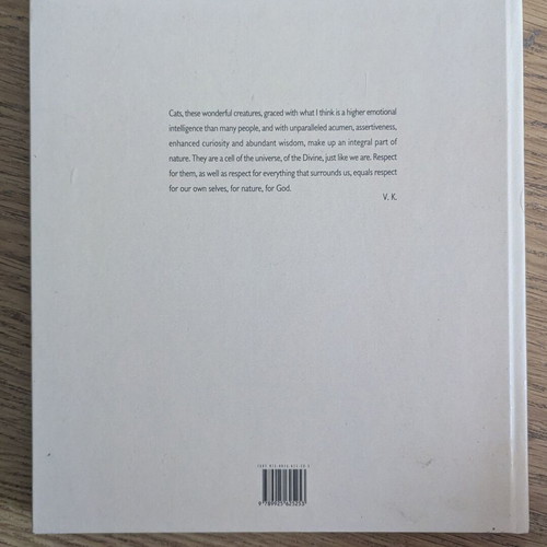 Cats in Cyprus Encounters book by Voula Kokkinou