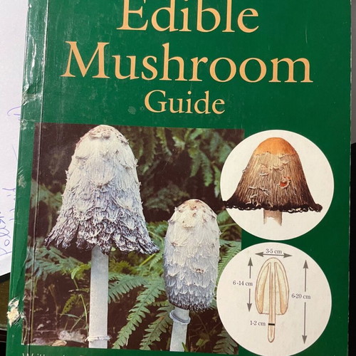 Easy Edible Mushroom Guide like new