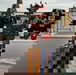  Power Ranger MEGAZORD Τέλεια κατάσταση!!!