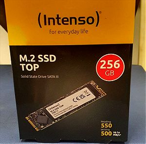 Intenso Top SSD 256GB M.2 SATA III