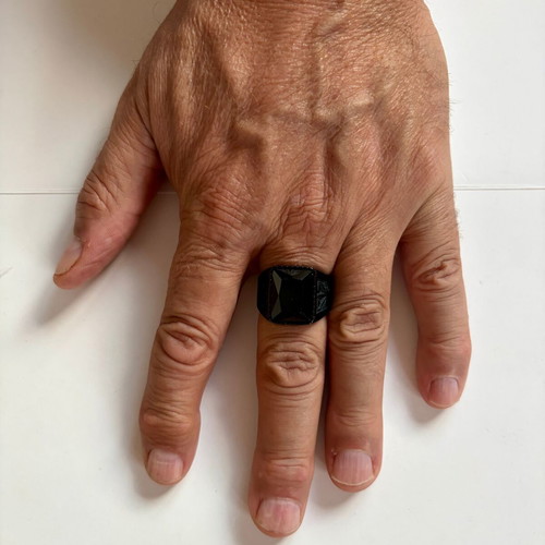 Black Crystal Signet Ring brand new, palm leaf design, 316L stainless steel