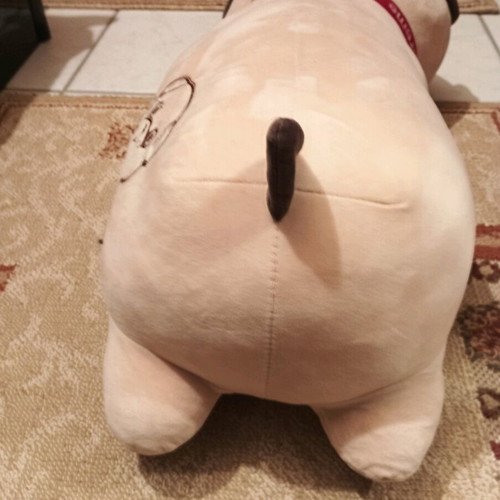 Plush Bear New