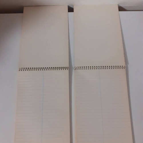 Garfield notebooks new, set of two